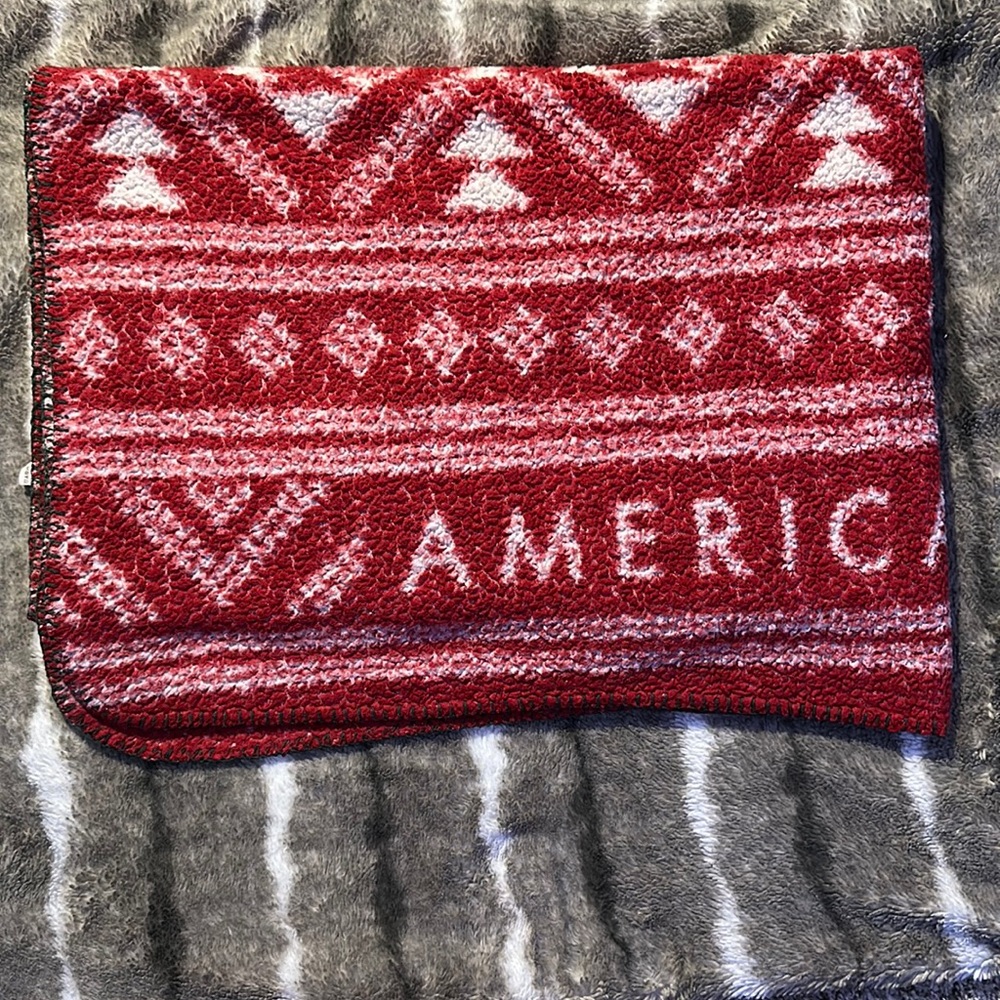 American eagle 63 x 45 blanket